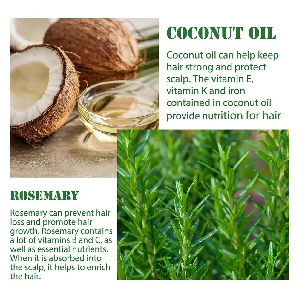 Rosemary Essential Oil with Dropper, 1/3PCS Rosemary Oil for Hair Growth, Hair Strengthening, Nourishing & Volumizing Refreshing